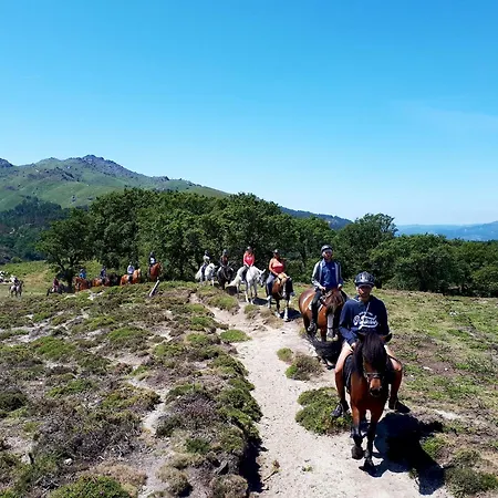 펜션 Casa Do Aboim - Geres 테라스 드 부로