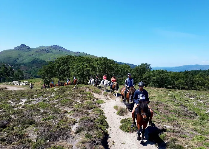 펜션 Casa Do Aboim - Geres 테라스 드 부로